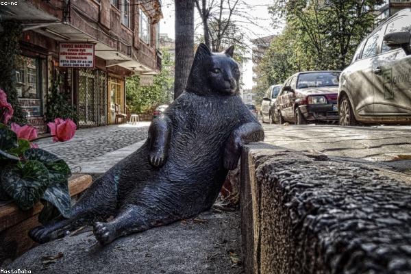 Поке с тофу